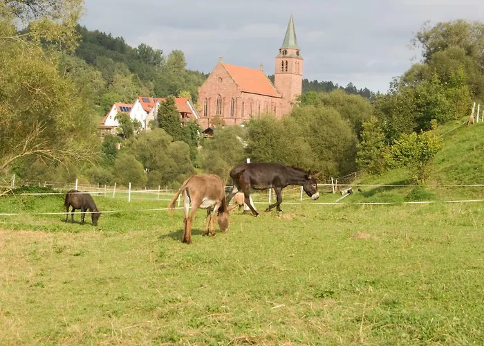 Ferienwohnung Spreter